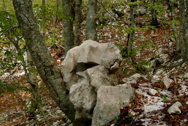 Sculture naturali